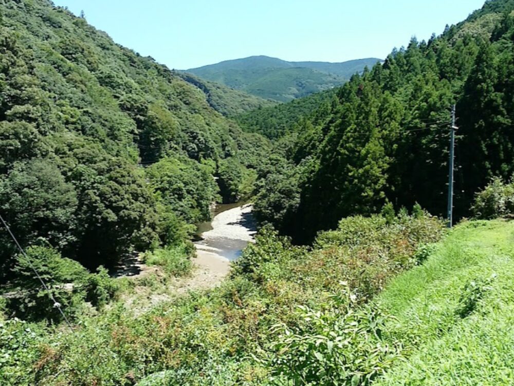 松平農園の画像です