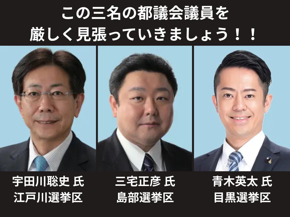 ステルス無所属議員の画像です